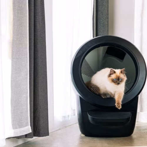 litter-robot-4-review-643870ce02812